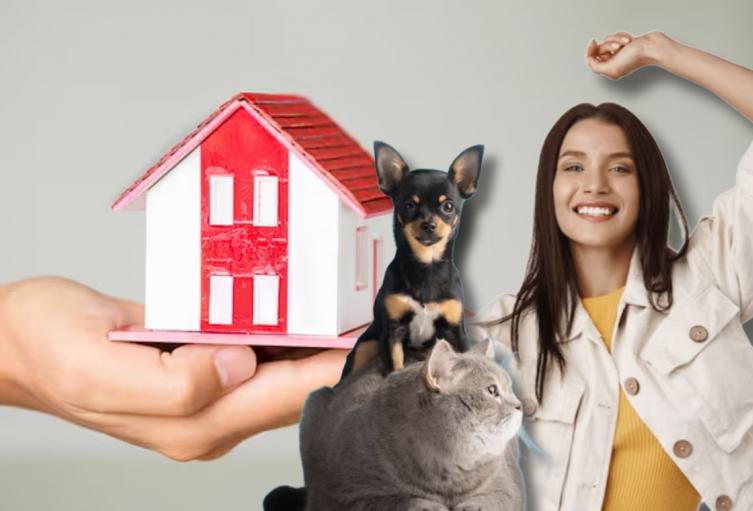 Vivienda Segura en Bogotá: protección para toda la familia y sus mascotas Vivienda Segura en Bogotá: protección para toda la familia y sus mascotas