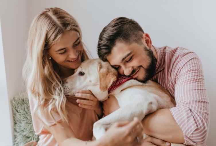 Chapinero lanza censo de mascotas para cuidar a los animales de la zona
