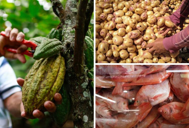 Precios en Corabastos hoy 2 de octubre de 2025: alimentos que más bajaron este jueves