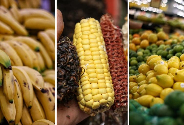 Precios en Corabastos hoy 3 de octubre de 2025: alimentos que más bajaron este viernes Precios en Corabastos hoy 3 de octubre de 2025: alimentos que más bajaron este viernes