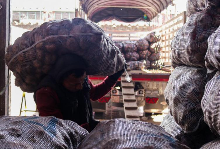 Precios en Corabastos este 22 de octubre alimentos que más bajaron HOY Precios en Corabastos este 22 de octubre alimentos que más bajaron HOY