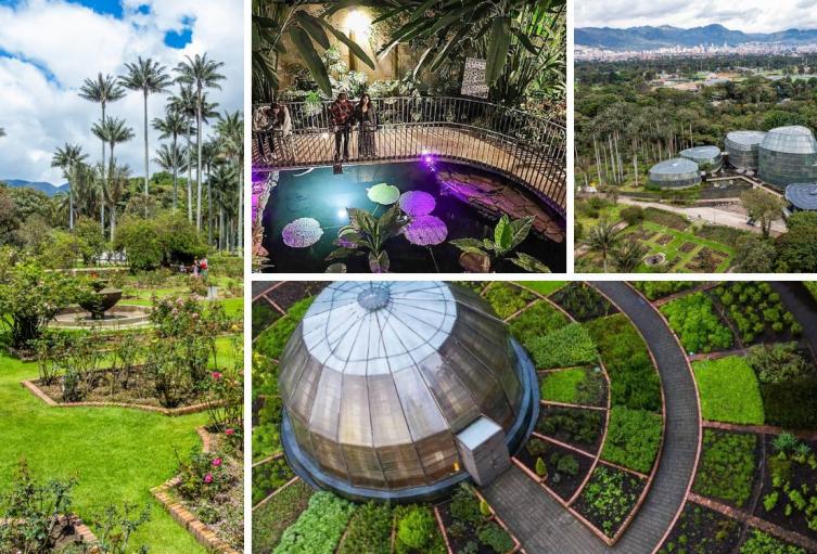 Jardín Botánico de Bogotá anuncia regreso de las Vacaciones Científicas
