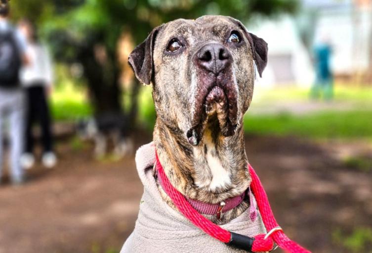 Astra Milagros vivió 2.321 días de olvido y hoy al fin tiene una familia