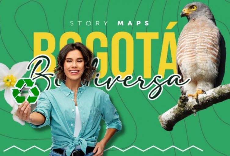 Bogotá Biodiversa aterriza: la ruta que revela los tesoros verdes de la ciudad