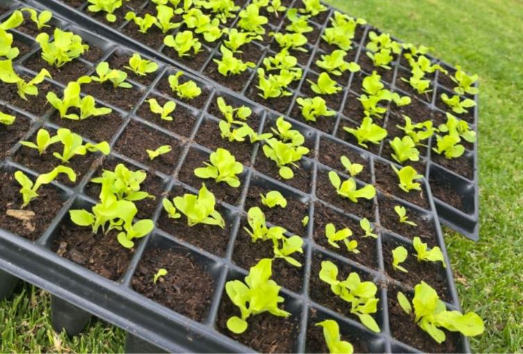 CAR se une al Museo Militar de Tocancipá para promover economía circular