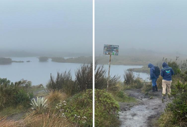 Tras 20 años de ocupación, CAR recuperó terreno de alto valor ambiental