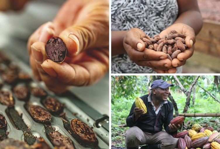Chocoshow en Corferias: cuándo es y qué ofrece este fin de semana