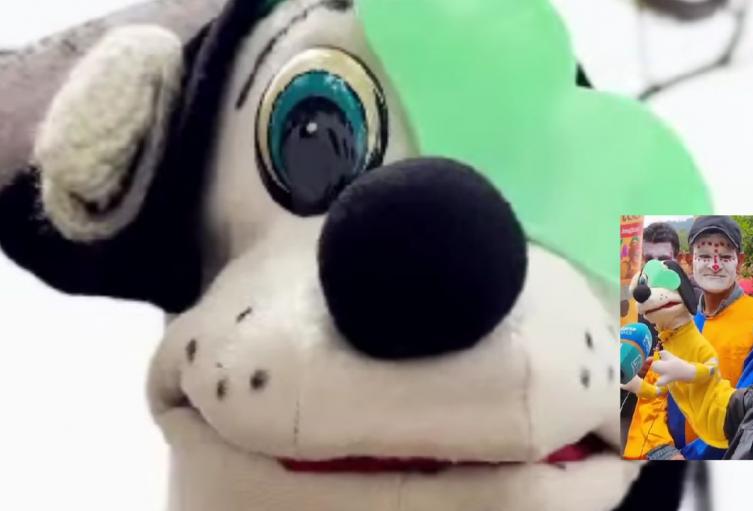 El perro Boronas y la calle se toman Bogotá habitantes cambian su historia