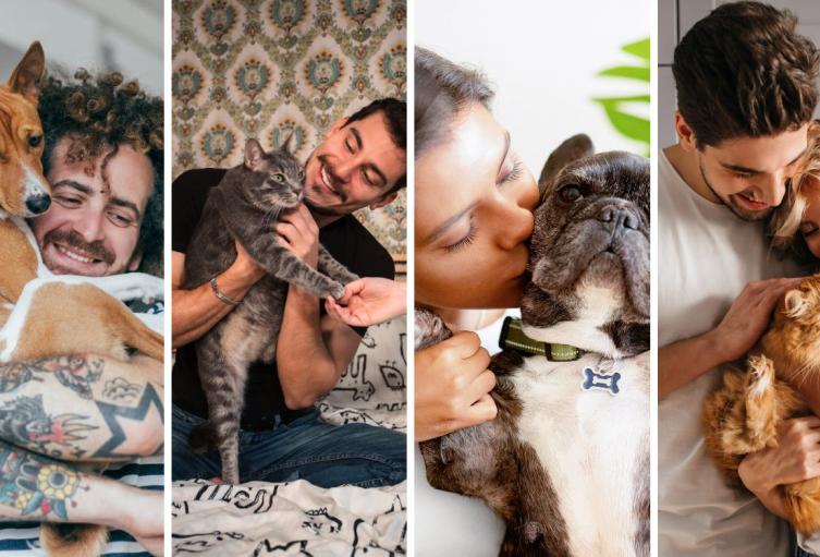 Ciudades del mundo tienen cita en Bogotá para promover la protección animal