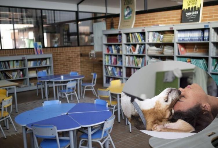 Nueva materia en los colegios estudiantes con los pelos de punta