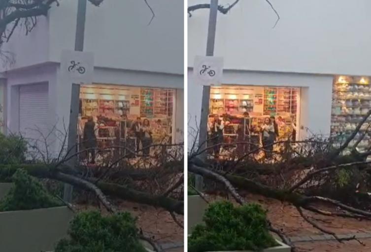 Lluvias pegaron duro: rayo tumbo árbol y complicó el paso en Chapinero