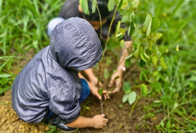 Sembratón en Cundinamarca deja 3.500 nuevos árboles en 48 municipios
