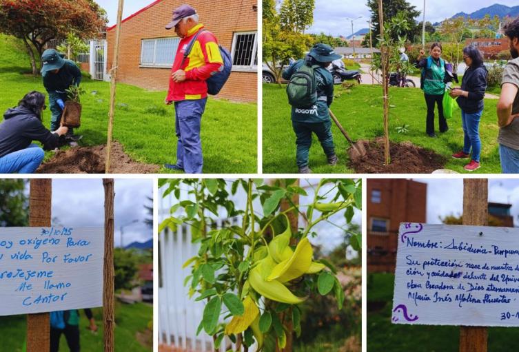 Más verde en San Cristóbal: Parque San Blas estrena árboles y flores