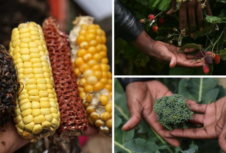 Precios en Corabastos este 18 de diciembre de 2025: alimentos que más bajaron este jueves