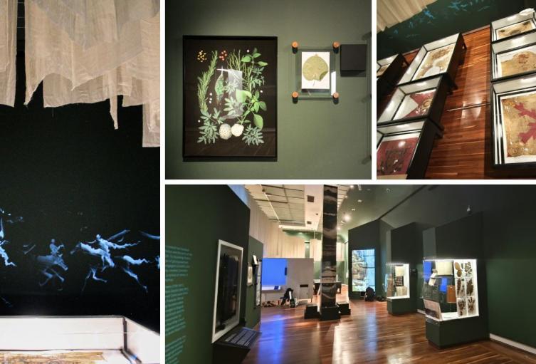 Museo Nacional arma planzazo por sus 200 años con exposición gigante