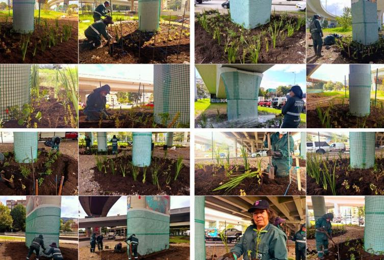 Bogotá le apuesta al verde: puente de la calle 92 estrenó nueva cara