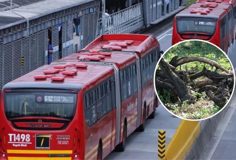 TransMilenio cierra estaciones en la Avenida Caracas: árbol cayó en la vía