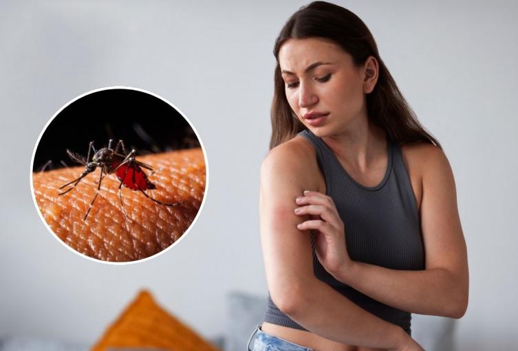 ¿Cuál es la vacuna contra el dengue y cómo se consigue en Colombia?