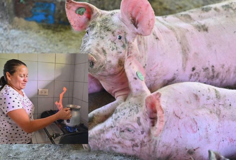 El invento que puso a cocinar gratis a campesinos en Cundinamarca