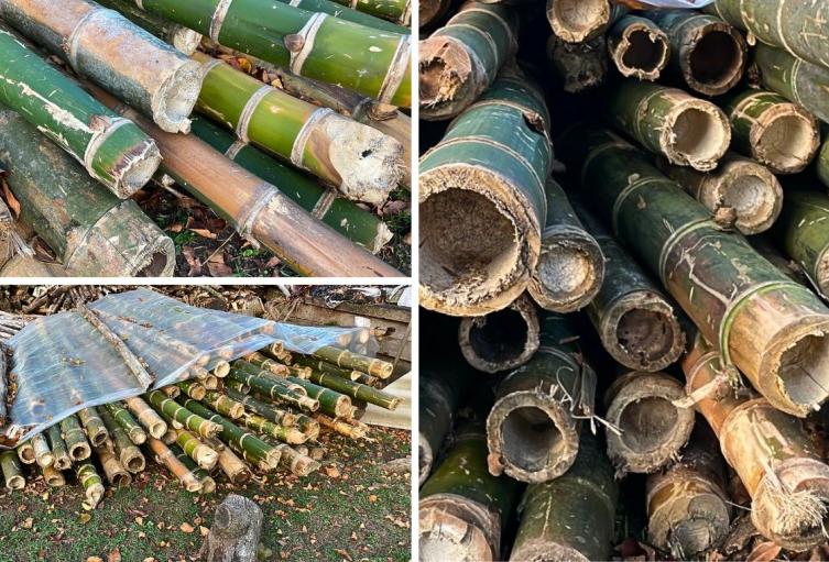 Autoridades frenan camión con guadua ilegal en carretera de Cundinamarca