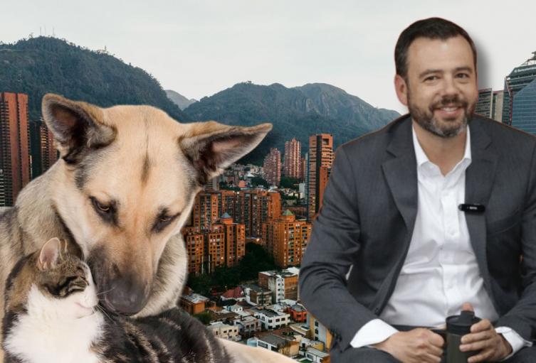 Usme: localidad del sur de Bogotá que encabezó la protección animal