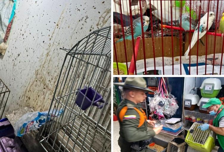 Controles en la Plaza del 20 de Julio: 34 animales fueron rescatados