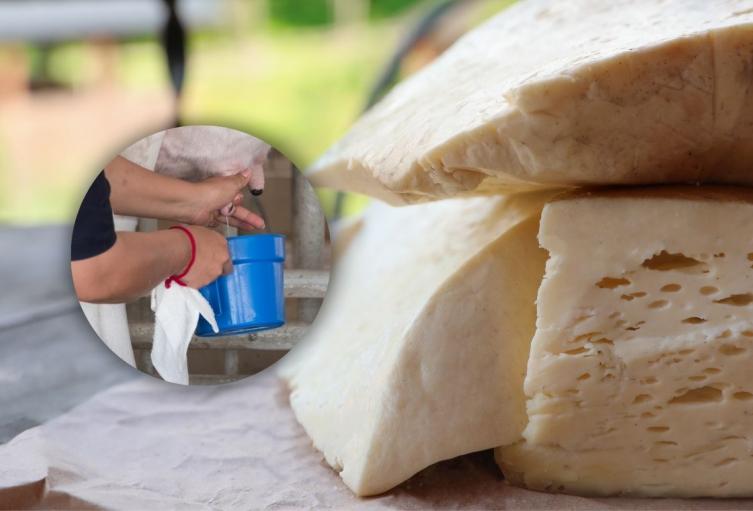 Quesatón en Bogotá