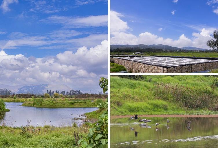 Río Bogotá en recuperación: CAR interviene 116 hectáreas de su cuenca