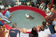 La indisciplina de algunas personas que son más constantes, se destacan las peleas de gallos, fiestas de 15 años y celebraciones familiares 