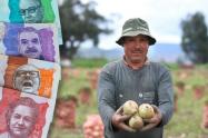 Paperos de Cundinamarca