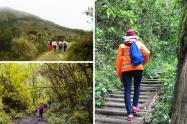 Caminata ecológica gratis: plan perfecto cerca de Bogotá