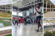 Festival de Verano se toma los CEFE