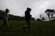 Subida a los cerros de Bogotá podría salirle caro: esto es lo que debe saber para que no la embarre 