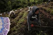 Fusagasugá: estrategia llenaría los bolsillos de los comerciantes