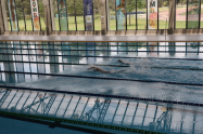 Suspenden temporalmente popular piscina pública en Bogotá esta es la razón
