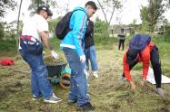 Los infractores cambian multas por limpieza y siembra de árboles