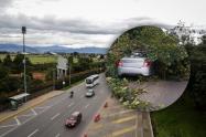 Caída de árbol en la Autopista Norte