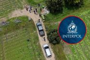 Caso Valeria Afanador toma giro: Interpol emite circular amarilla