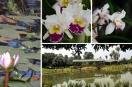 Jardín Botánico celebra sus 70 años: plan perfecto para este festivo