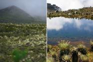 Páramo de Sumapaz