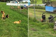 Refugio que deberá ser desalojado en El Rosal