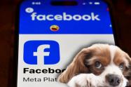 Se le llevaron hasta el perro: cita por Facebook terminó en pesadilla en Suba