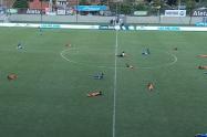 Abejas en Millonarios vs. Envigado
