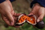 Alimentos en Corabastos
