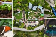 Bioparque Monarca: aventura familiar en Tenjo con mariposario incluido