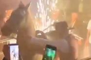 Metieron un caballo a un bar en pleno centro de Bogotá