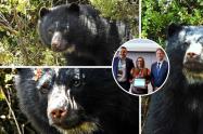 Alianza histórica dará protección especial al corredor del agua y el oso