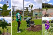 Colegio de Bosa estrena 156 nuevos árboles: estudiantes son sus guardianes
