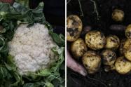 Precios en Corabastos hoy 17 de septiembre de 2025: alimentos que más bajaron de precio este miércoles