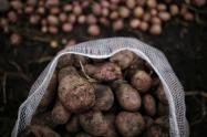 Precios en Corabastos hoy 18 de septiembre: alimentos que más bajaron este jueves